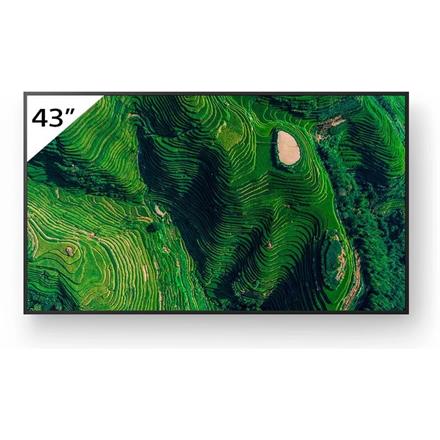 43" Pro BRAVIA 500nit, 24/7, 25% Haze