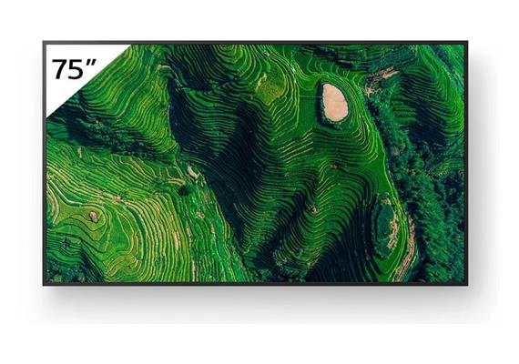 75" Pro BRAVIA 500nit, 24/7, 25% Haze