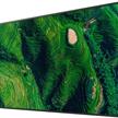 85" Pro BRAVIA 500nit, 24/7, 25% Haze | Bild 2