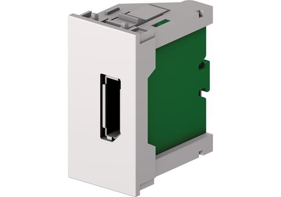 DP Module F/F weiss