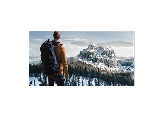 Living Thin 300 x 169