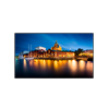 Professional Display PF50D, 50", UHD, 500cd/m2, SlimDLED