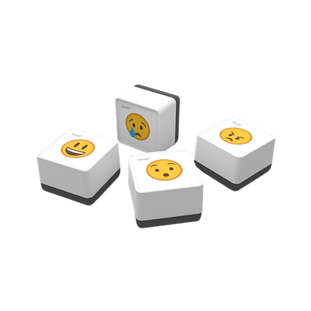 SMART Tool Explorer Stempel RX / QX Pro