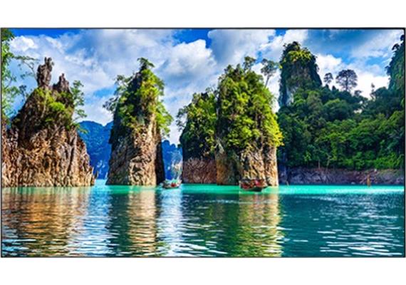 Videowall Display WW55B/2H, 55", FHD, 500cd/m2, 1.7mm Bezel to Bezel, 24/7