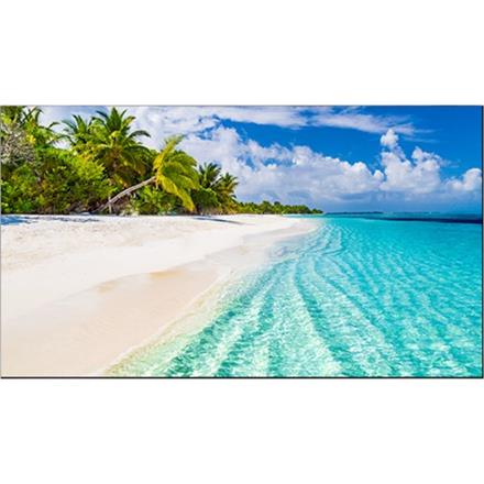 Videowall Display WY55B/2H, 55", FHD, 500cd/m2, 0.9mm Bezel to Bezel, 24/7