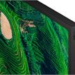 75" Pro BRAVIA 500nit, 24/7, 25% Haze | Bild 3