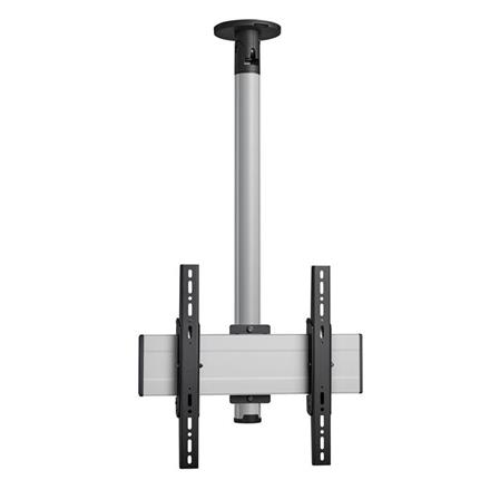 CT240844S Support plafond fixe argenté