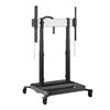 RISE 5208 Trolley avec système d'élévation de l'écran motorisé 80 mm/s noir
