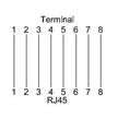 RJ45 8-pol Keystone vert | Bild 2