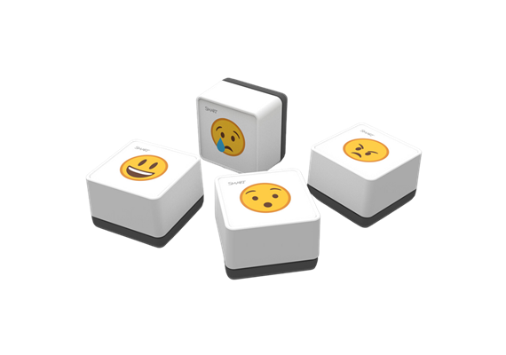 SMART Tool Explorer Stempel RX / QX Pro