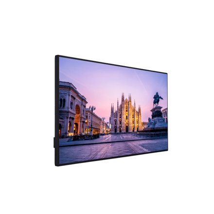 Display professionali