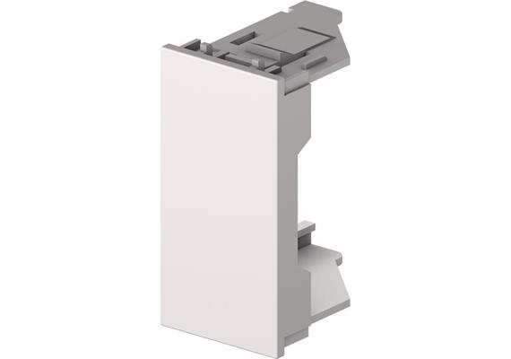 Modulo cieco bianca