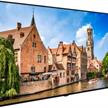 Professional Display XN75D-4H, 75", UHD, 500cd/m2, SlimDLED | Bild 2