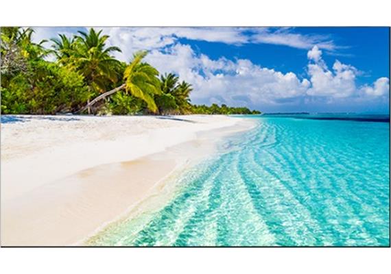 Videowall Display WY55B/2H, 55", FHD, 500cd/m2, 0.9mm Bezel to Bezel, 24/7